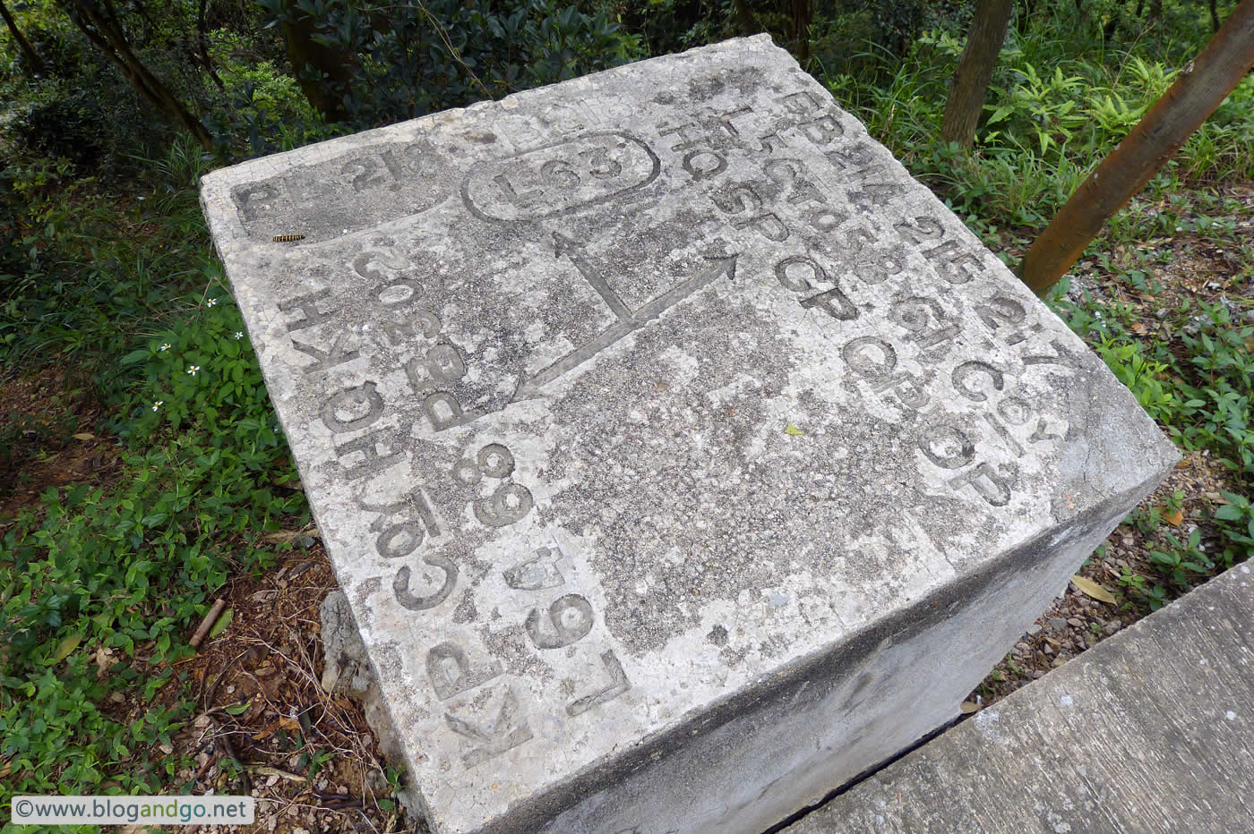 Wilson Trail 5 - Military Marker Post